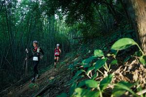 BIB: 
                            <button type="button" onclick="openModal(28124384)" class="btn btn-primary btn-sm float-right btn-popup" data-toggle="modal" data-target=".modal-high-quality">
                        <i class="fas fa-shopping-cart"></i> Add to Cart
                    </button>
                                            <button type="button" onclick="isThisMe(28124384, true)" class="btn btn-success btn-sm float-right btn-popup btn-isme hidden" data-toggle="tooltip" data-placement="bottom" title="นี่คือรูปของคุณใช่ไหม คลิกที่นี่เพื่อเอาเข้าอัลบั้ม">
                        <i class="fas fa-plus"></i> Add to album
                    </button>
                    <button type="button" onclick="isThisMe(28124384, false)" class="btn btn-warning btn-sm float-right btn-popup btn-isnotme hidden">
                        <i class="fas fa-ban"></i> Remove from album
                    </button>